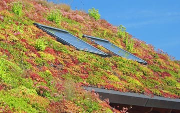 Plymtree living roof systems